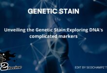 Unveiling the Genetic Stain:Exploring DNA's complicated markers